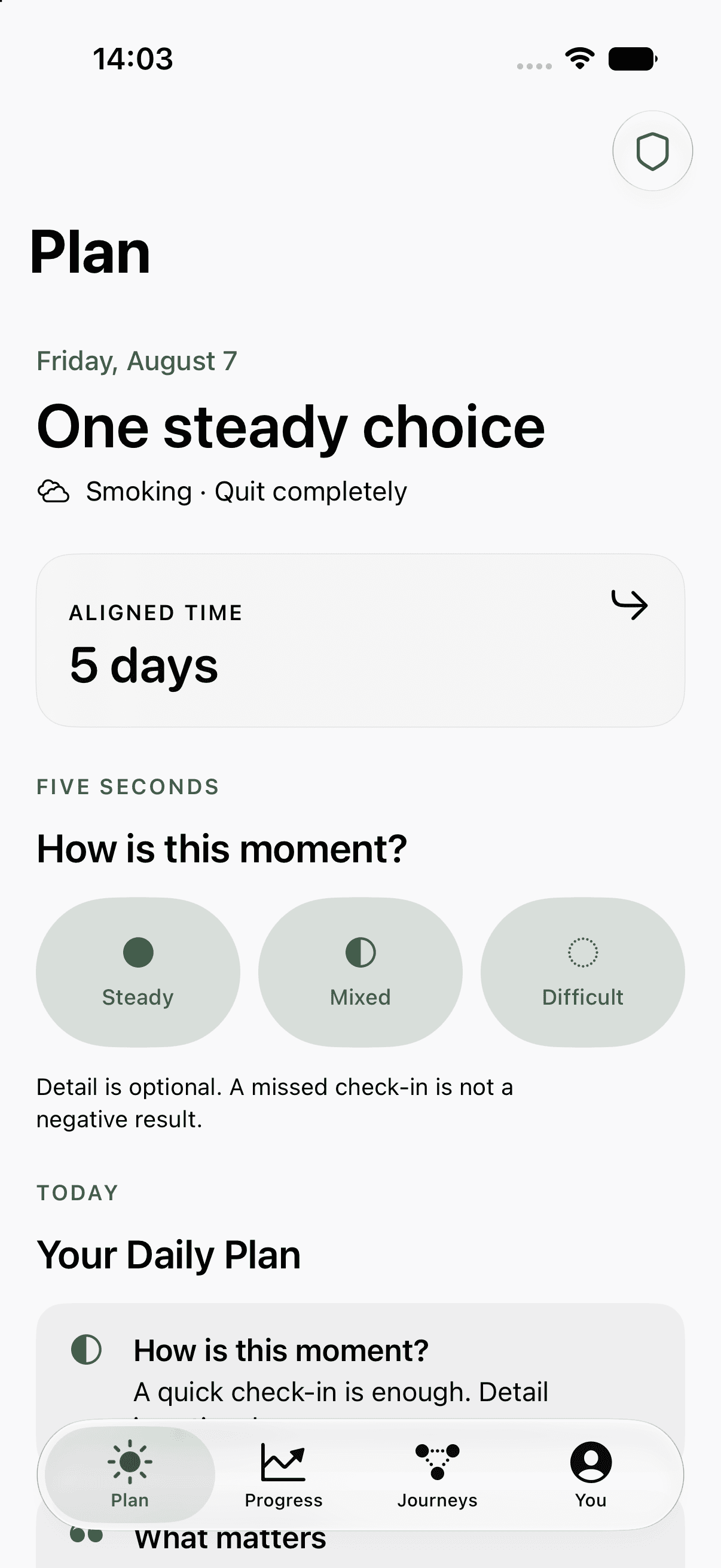 QuitNow Daily Plan with a calm check-in and aligned time